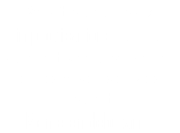 Vous êtes préparés aux improvisations pour que, rapidement, vous puissiez danser sur les musiques qui vous inspirent, Même en débutant !